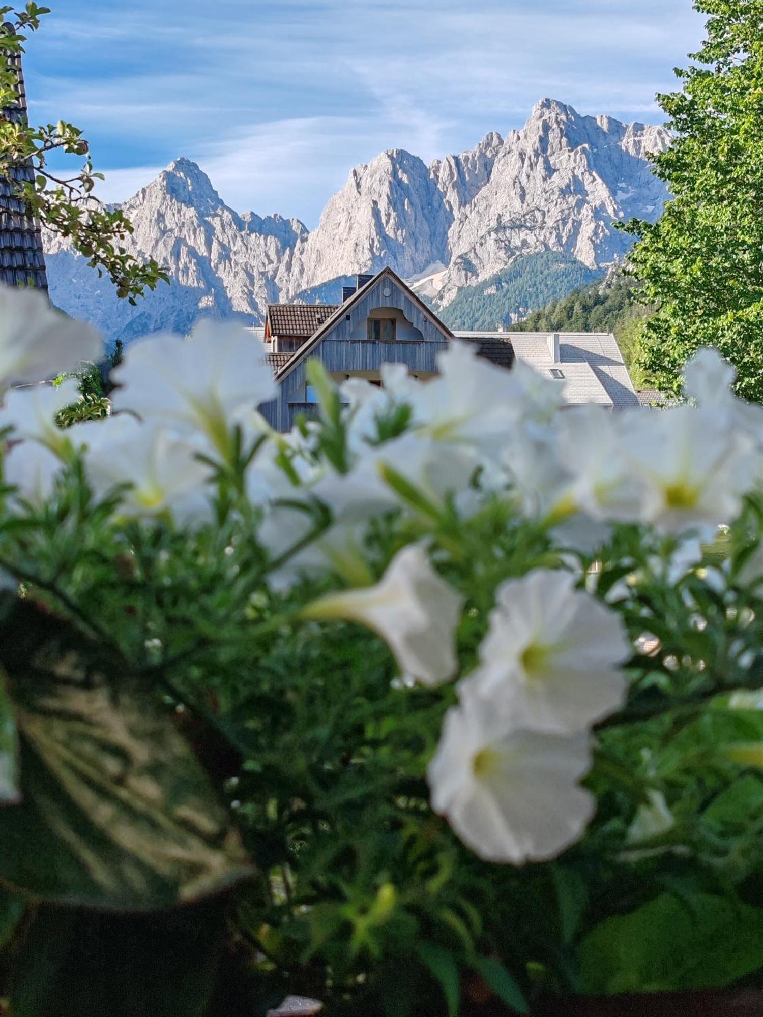Apartments & Rooms Smucka Kranjska Gora Eksteriør bilde